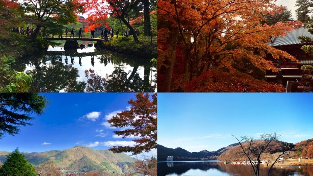 2025년 간토(関東) 단풍 명소 20선, 가을 단풍 여행 전 필수 확인! 도쿄, 군마, 이바라키 각지의 단풍 절경을 경험하세요