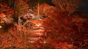 2025년 간사이(関西)지역 오사카, 교토, 나라, 효고의 단풍 핫플을 소개합니다!