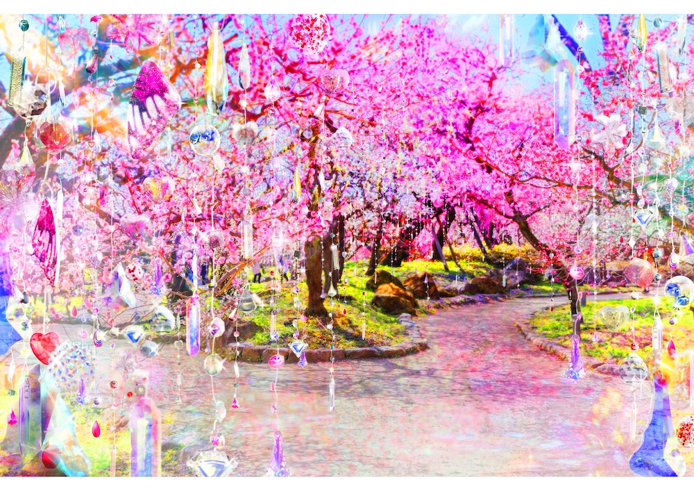 빛과 꽃의 정원