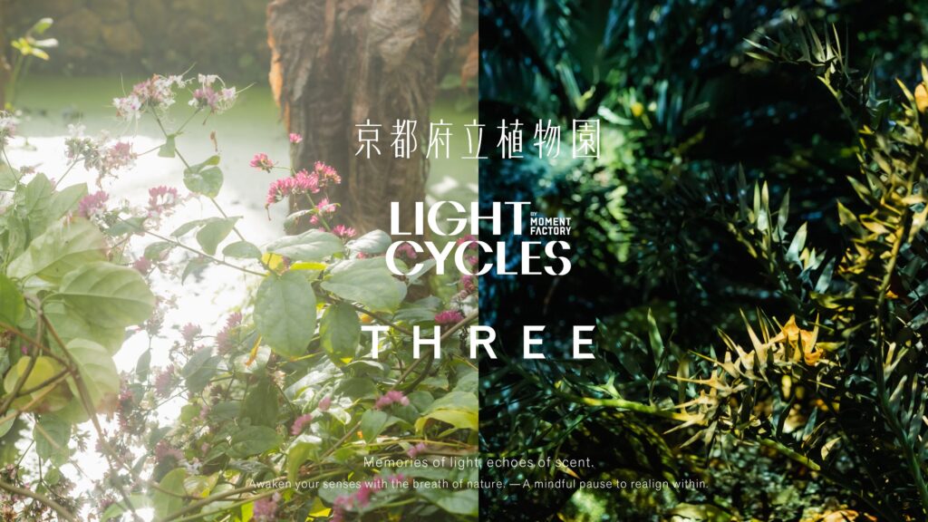 교토 식물원에서 만나는 향기와 빛의 예술 전시 ‘THE ROOM OF (IN) SCENTS’
