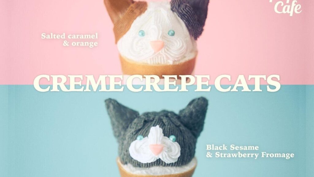 젤라토 피케 카페 고양이 크레페 한정 판매! 귀여움 폭발하는 디저트로 SNS 인증샷 필수