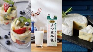 홋카이도 여행 필수템! 일본인들이 신뢰하는 요츠바유업 완벽 가이드