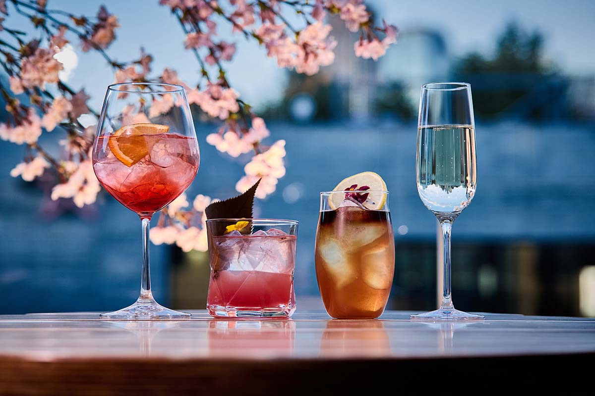 일본 스타벅스 벚꽃 시즌_스타벅스 리저브 도쿄 로스터리 벚꽃 시즌_야간 ROASTERY TOKYO SAKURA Terrace