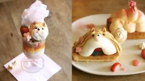 시부야에서 세 정거장, 유텐지역 숨은 카페 ‘torse’의 오므라이스와 계절 디저트