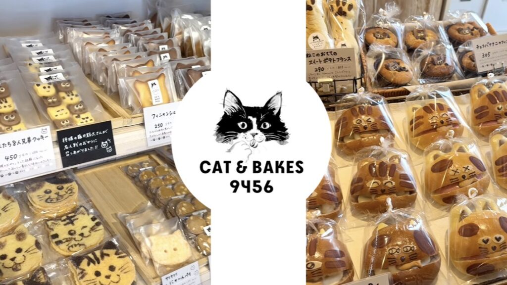 시즈오카 고양이 빵집 ‘CAT & BAKES 9456’ 귀여운 고양이 모양 빵과 쿠키로 가득한 힐링 카페