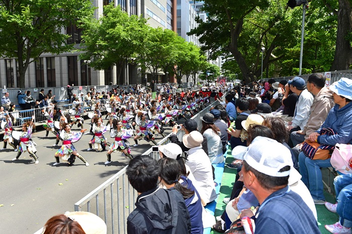 요사코이 소란 축제